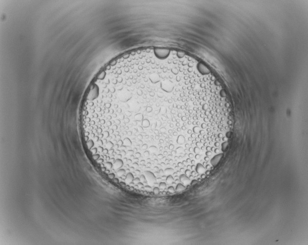 X0000089401283200707061219