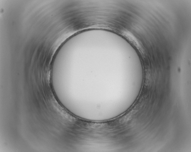 X0000089401284200707061219