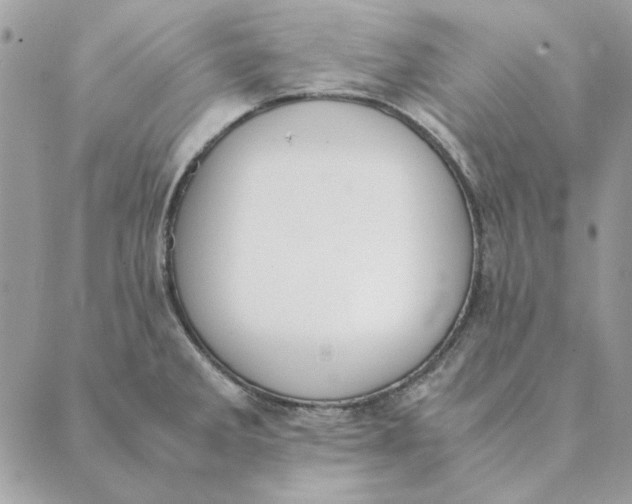 X0000089401285200707061219