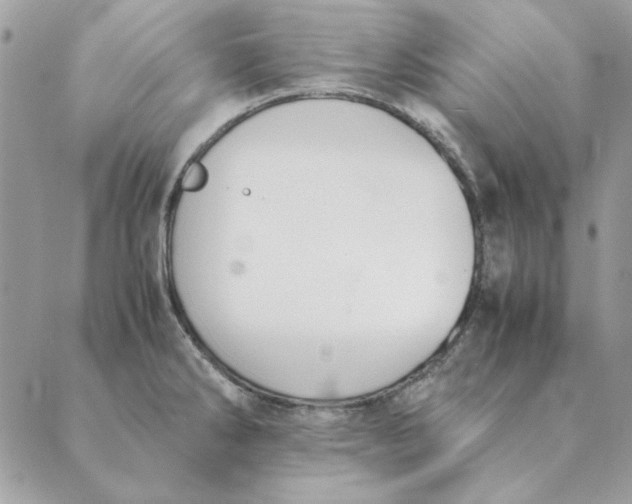 X0000089401286200707061219