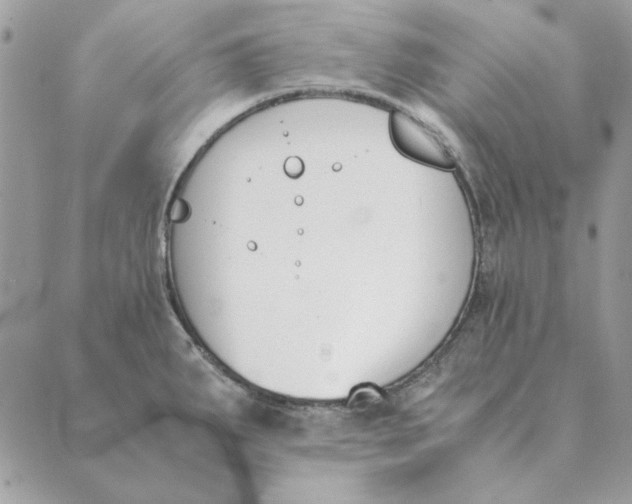 X0000089401287200707061219