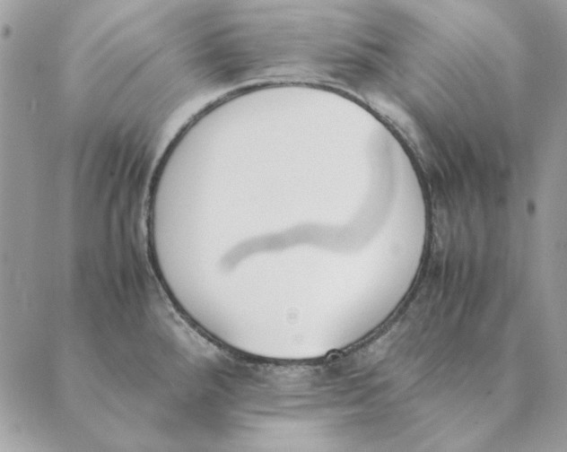 X0000089401288200707061219