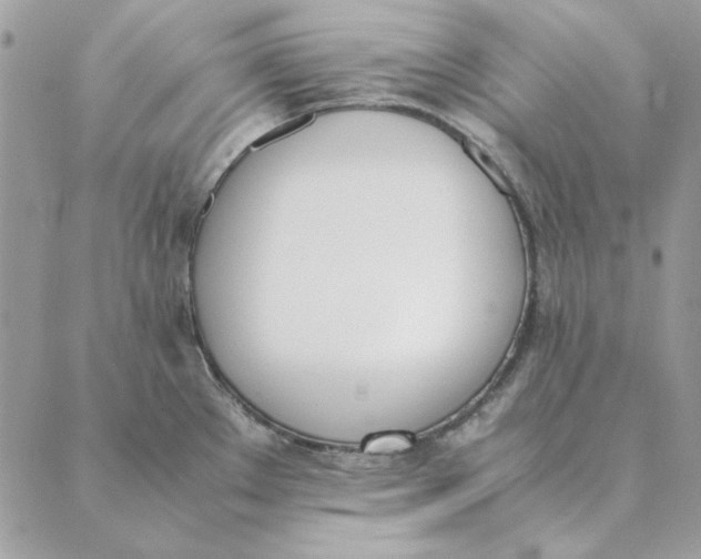 X0000089401289200707061219