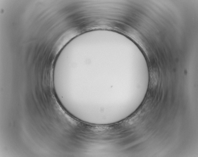 X0000089401290200707061219