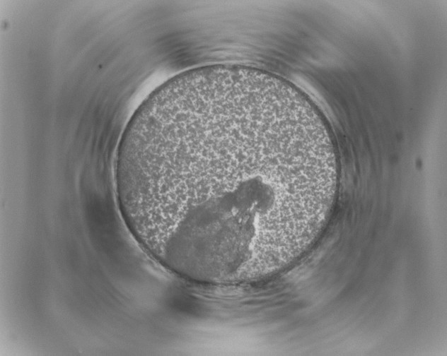 X0000089401291200707061219