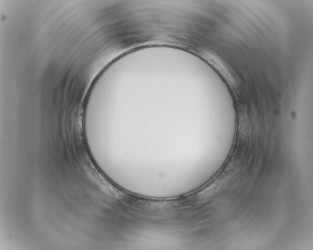 X0000089401292200707061219