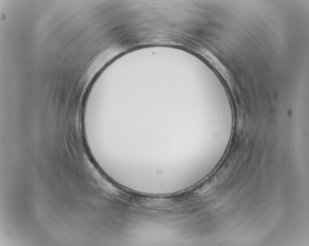 X0000089401293200707061219