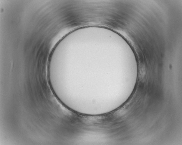 X0000089401294200707061219