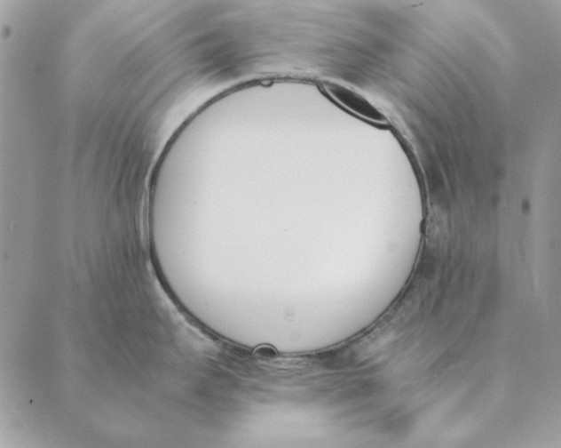 X0000089401295200707061219