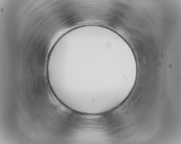 X0000089401296200707061219