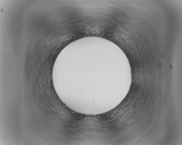 X0000089401297200707061218