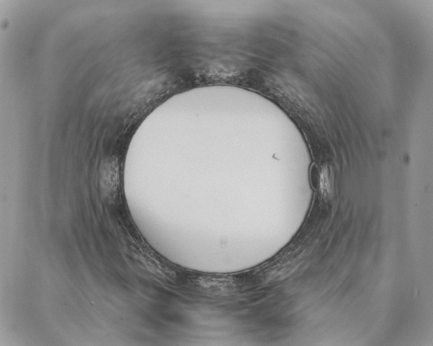 X0000089401299200707061218