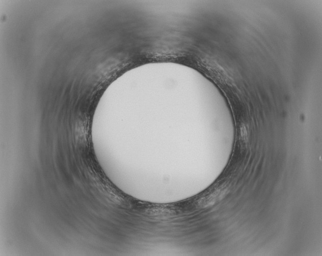 X0000089401300200707061218