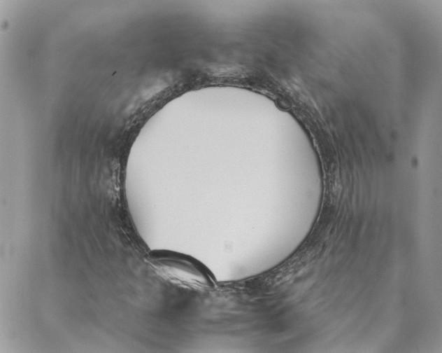 X0000089401301200707061218