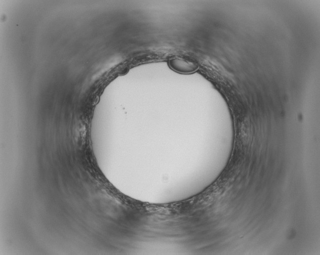 X0000089401302200707061218