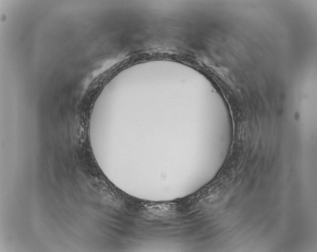 X0000089401303200707061218