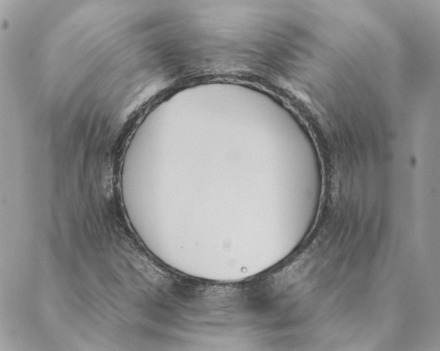 X0000089401306200707061218