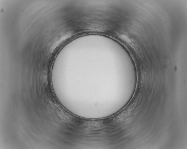 X0000089401307200707061218