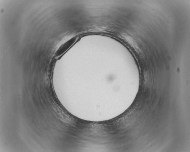 X0000089401308200707061218