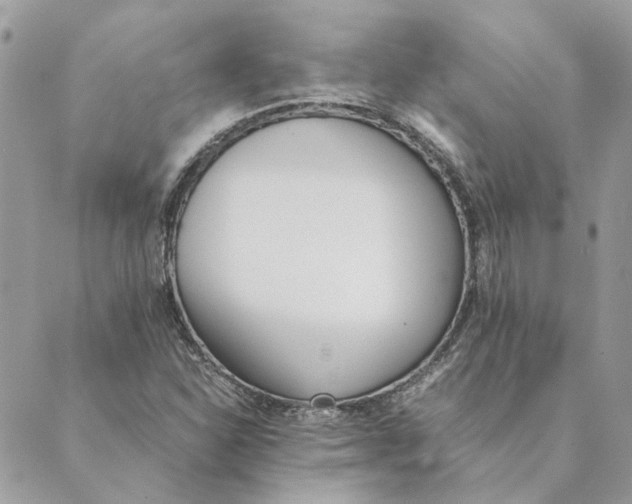 X0000089401310200707061219