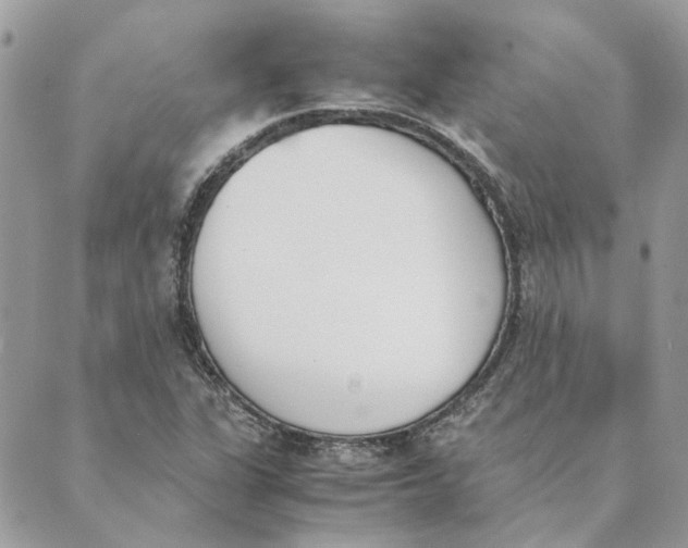 X0000089401311200707061219