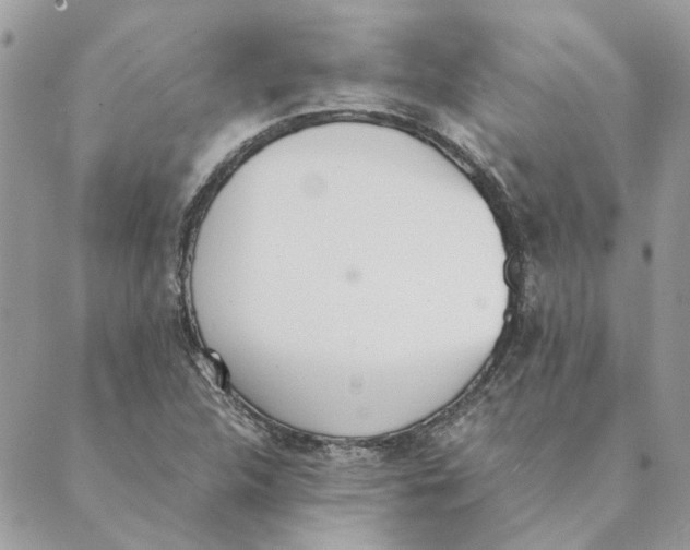 X0000089401312200707061219