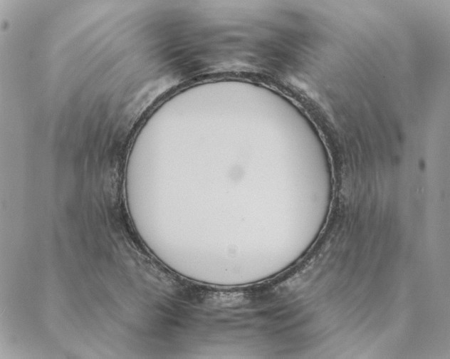 X0000089401313200707061219