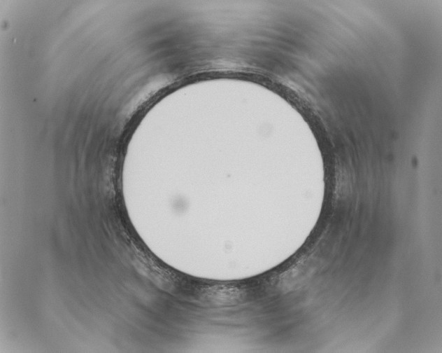 X0000089401314200707061219