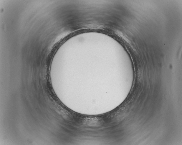 X0000089401315200707061219