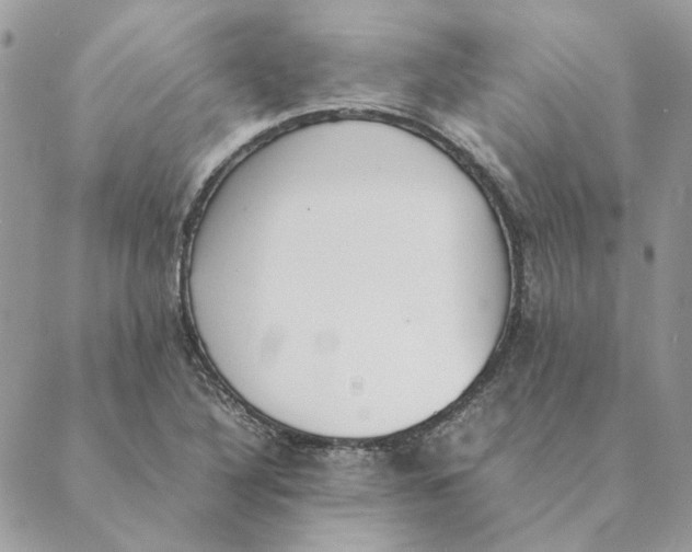 X0000089401316200707061219