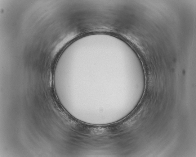 X0000089401317200707061219