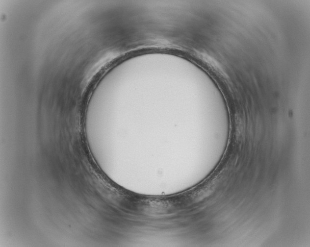 X0000089401318200707061219