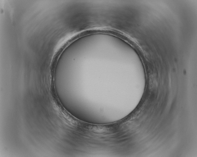 X0000089401319200707061219