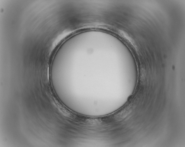 X0000089401320200707061219