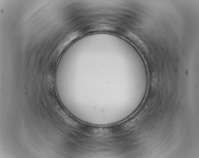 X0000089401321200707061219