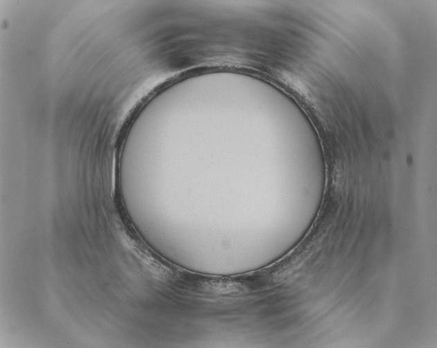 X0000089401323200707061219