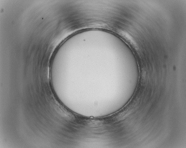 X0000089401324200707061219