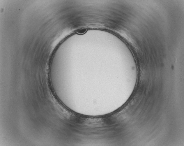 X0000089401325200707061219