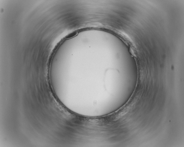 X0000089401326200707061219