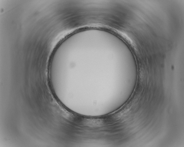 X0000089401327200707061219