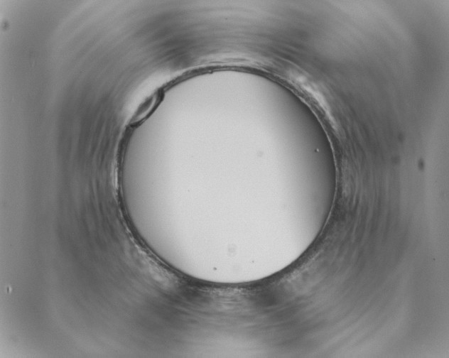 X0000089401328200707061219