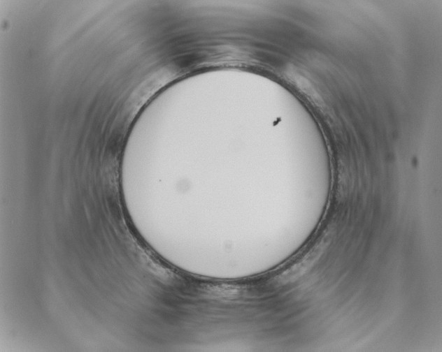 X0000089401329200707061219