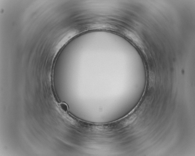 X0000089401330200707061219