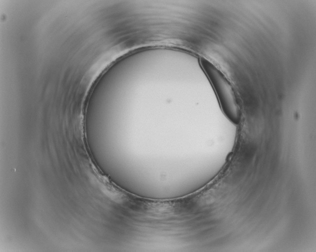 X0000089401332200707061219