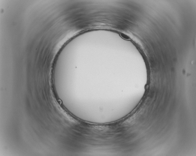 X0000089401333200707061219