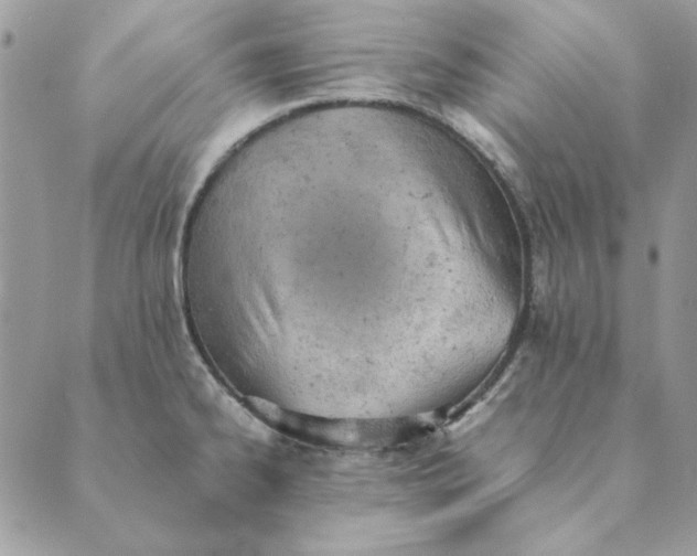 X0000089401334200707061219