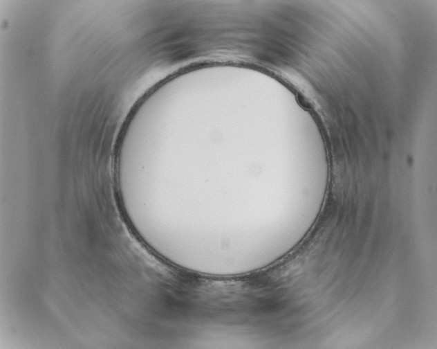 X0000089401335200707061219