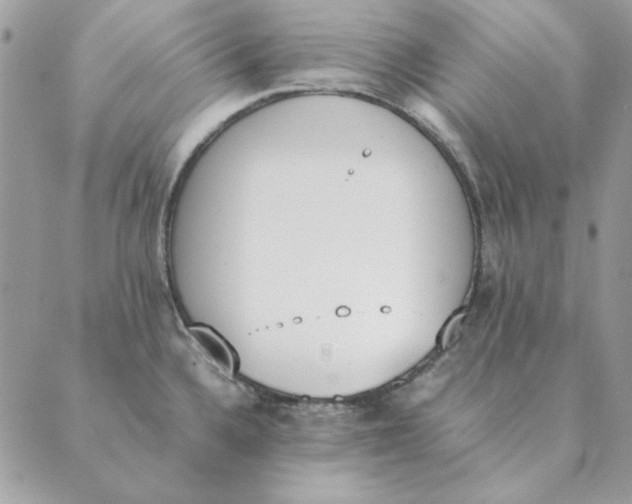 X0000089401336200707061219