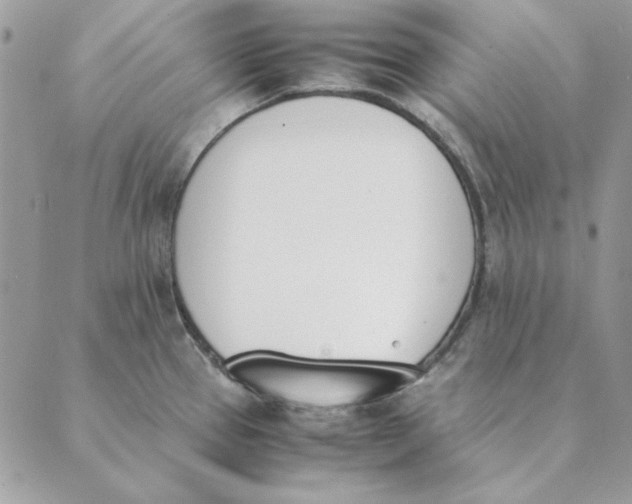 X0000089401337200707061219