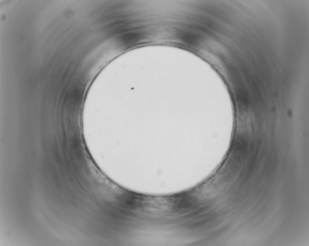 X0000089401338200707061219